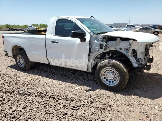 Photo 10 of 2024 CHEVROLET SILVERADO C1500 (VIN 2GC4YNEYXP1707367)