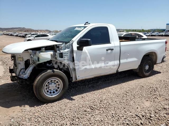 Photo 6 of 2024 CHEVROLET SILVERADO C1500 (VIN 2GC4YNEYXP1707367)