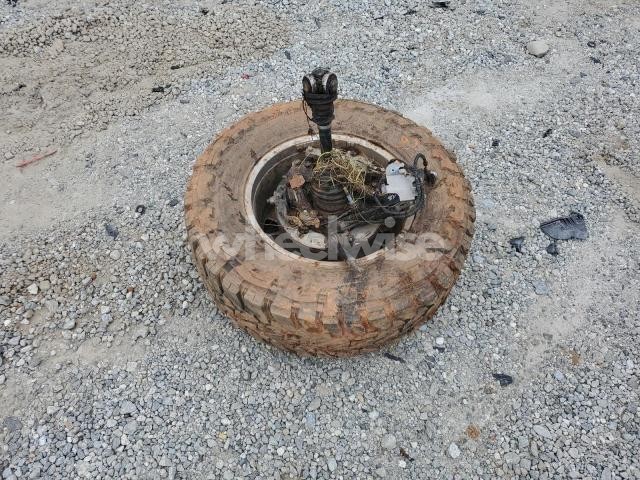 2024 CHEVROLET SILVERADO K2500 HIGH COUNTRY (VIN 2GC4YREY5R1261395) main photo