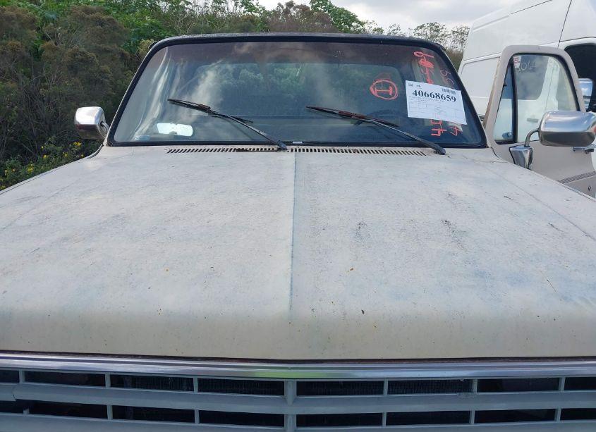 Photo 10 of 1986 Chevrolet C10 (VIN 2GCDC14H8G1172600)