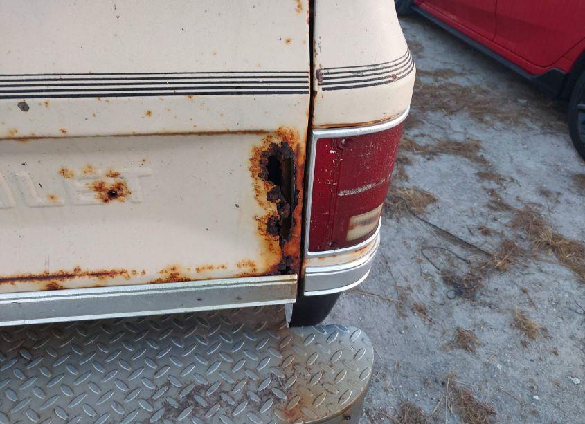 Photo 20 of 1986 Chevrolet C10 (VIN 2GCDC14H8G1172600)