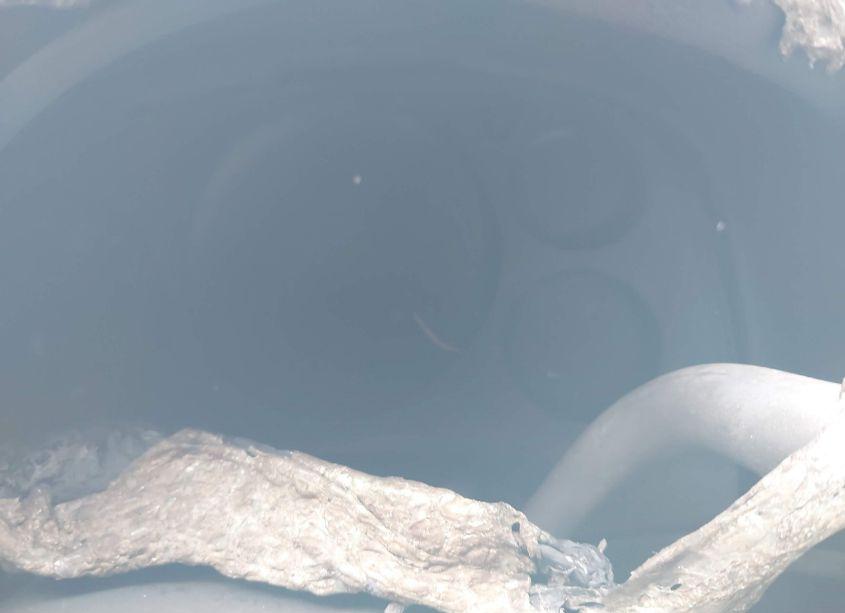 Photo 14 of 2007 Chevrolet Silverado 1500 LTZ (VIN 2GCEC13J571510835)