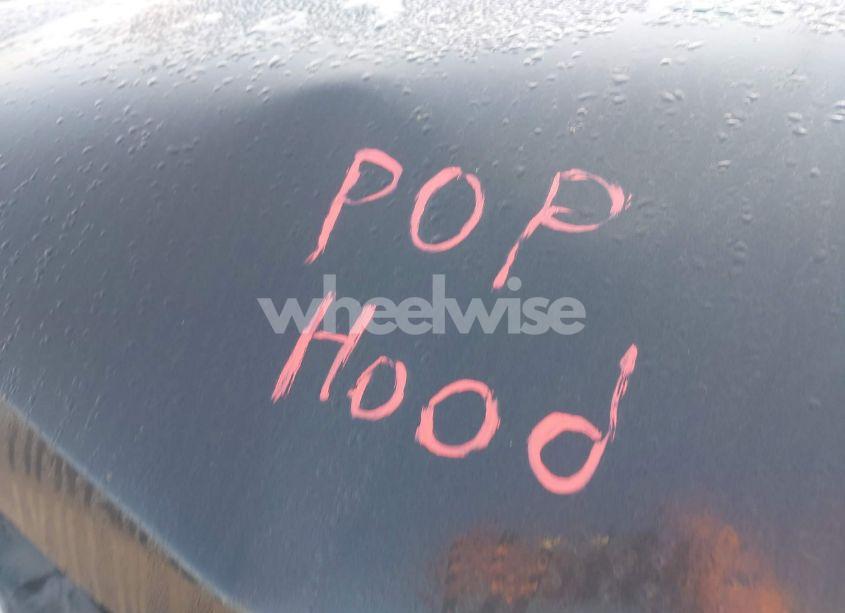 Photo 10 of 2004 Chevrolet Silverado 1500 LS (VIN 2GCEC13T741398858)