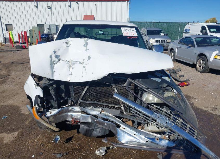 Photo 12 of 2001 Chevrolet Silverado 1500 LS (VIN 2GCEC19T211191961)