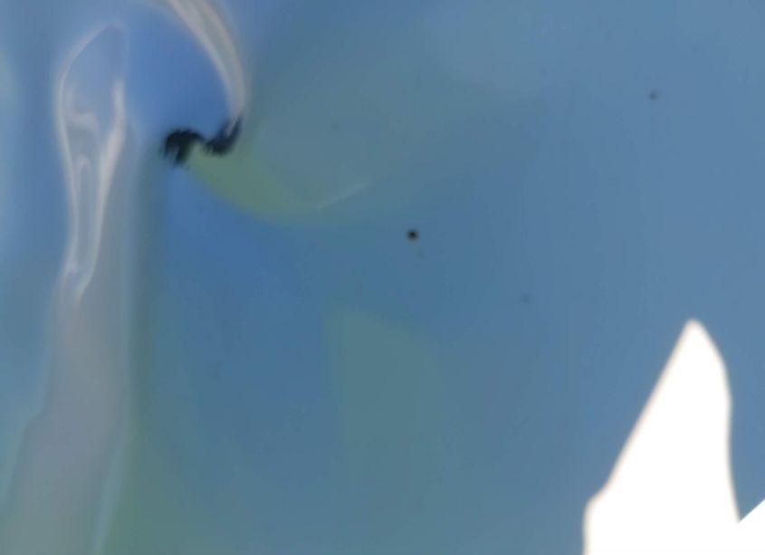 Photo 6 of 2000 Chevrolet Silverado 1500 LS (VIN 2GCEC19T3Y1354885)