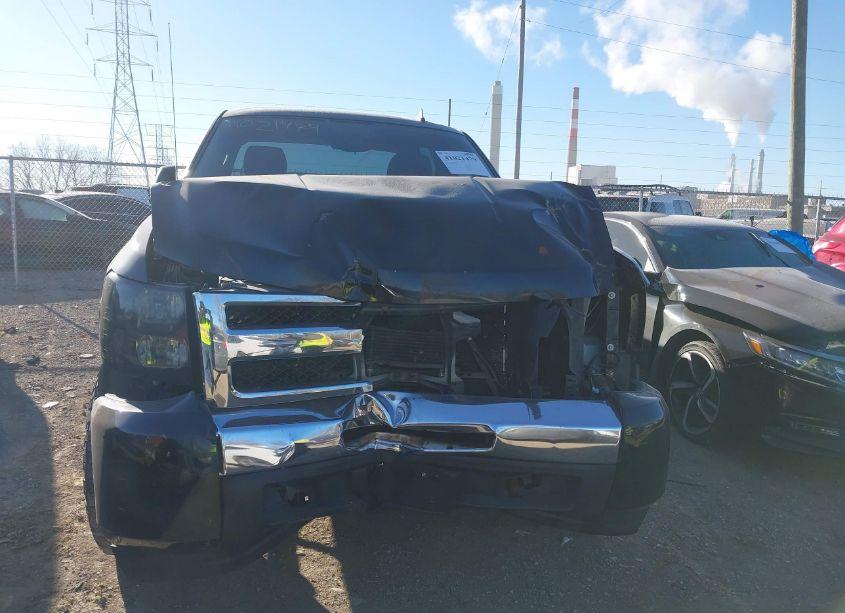 Photo 13 of 2009 Chevrolet Silverado 1500 WORK TRUCK (VIN 2GCEK133091136237)