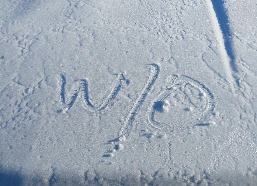 Photo 10 of 2008 Chevrolet Silverado 1500 WORK TRUCK (VIN 2GCEK19J581263893)