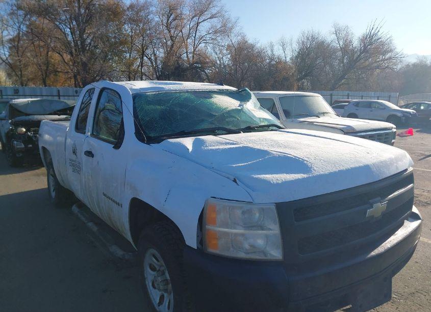 Photo 6 of 2008 Chevrolet Silverado 1500 WORK TRUCK (VIN 2GCEK19J581263893)