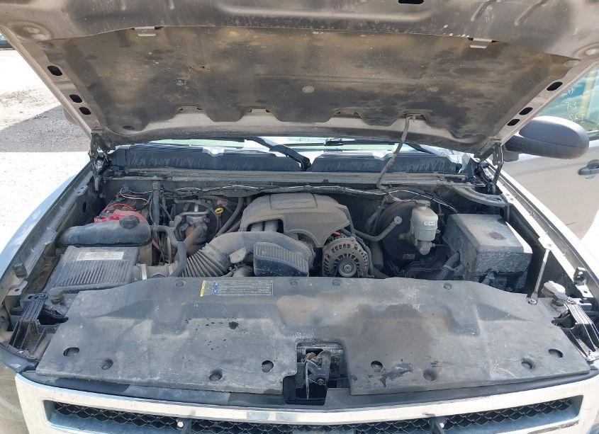 Photo 10 of 2008 Chevrolet Silverado 1500 LT1 (VIN 2GCEK19J981242951)