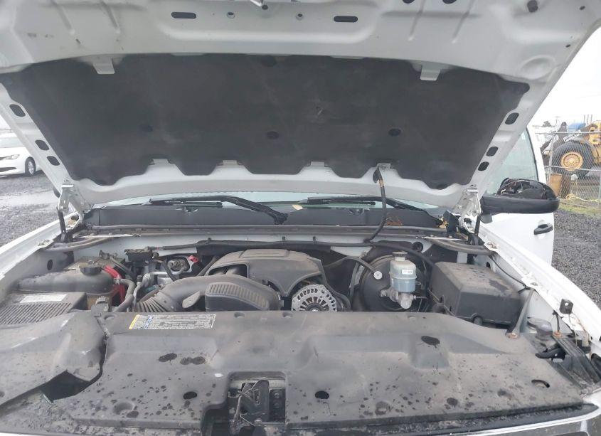Photo 10 of 2009 Chevrolet Silverado 1500 LT (VIN 2GCEK29J991123840)