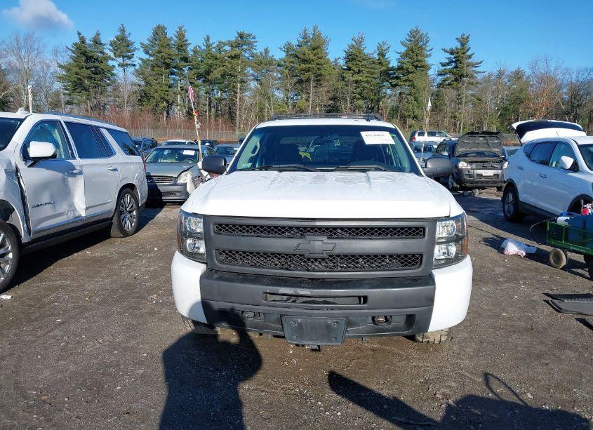 Photo 12 of 2009 Chevrolet Silverado 1500 HYBRID 1HY (VIN 2GCFK135291119445)