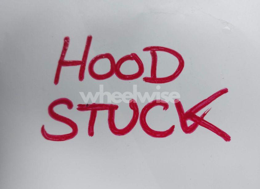 Photo 10 of 2023 Chevrolet Silverado 1500 4WD STANDARD BED LT (VIN 2GCUDDED4P1137188)