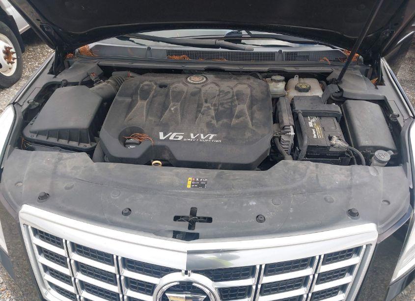 Photo 10 of 2013 Cadillac Xts B9Q COACHBUILDER HEARSE (VIN 2GEXG7U30D9500508)