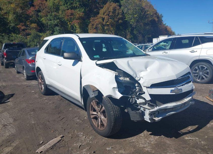 2012 Chevrolet Equinox LS (VIN 2GNALBEK6C1337676) main photo