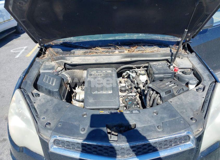 Photo 10 of 2013 Chevrolet Equinox LS (VIN 2GNALBEK7D1106416)