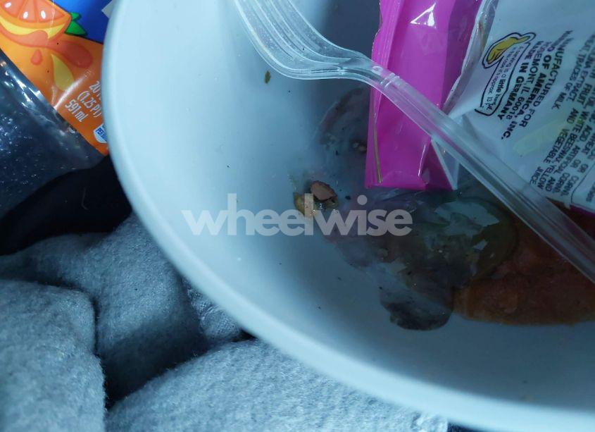 Photo 6 of 2013 Chevrolet Equinox LS (VIN 2GNALBEK9D1128272)