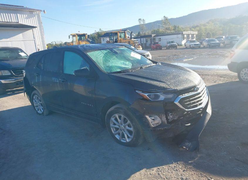 2020 Chevrolet Equinox FWD LS (VIN 2GNAXHEV1L6253835) main photo