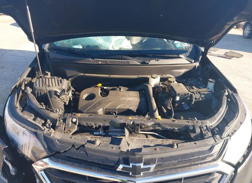 Photo 10 of 2020 Chevrolet Equinox FWD LS (VIN 2GNAXHEV1L6253835)