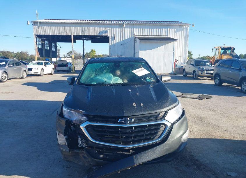 Photo 12 of 2020 Chevrolet Equinox FWD LS (VIN 2GNAXHEV1L6253835)