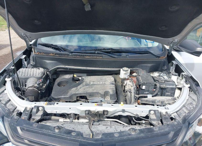 Photo 10 of 2019 Chevrolet Equinox LS (VIN 2GNAXHEV2K6226545)