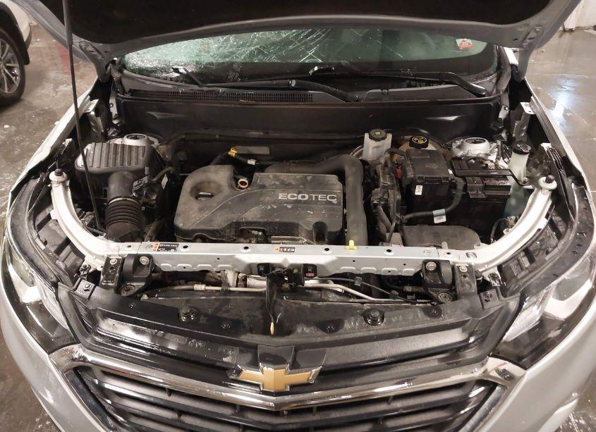 Photo 10 of 2019 Chevrolet Equinox LS (VIN 2GNAXHEV4K6119030)