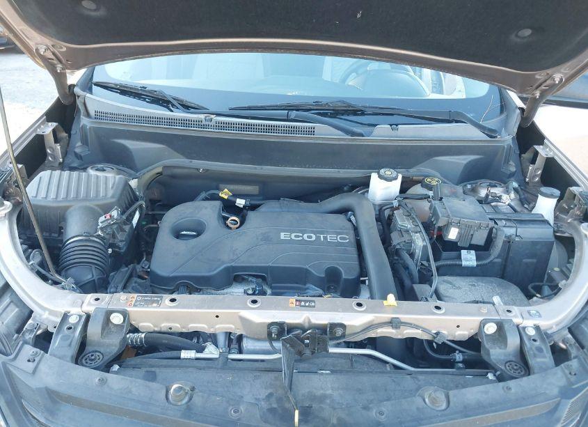 Photo 10 of 2019 Chevrolet Equinox LS (VIN 2GNAXHEV6K6225091)