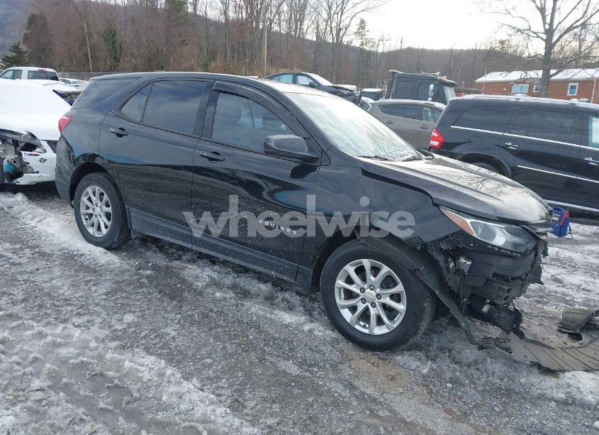 2019 Chevrolet Equinox LS (VIN 2GNAXHEV7K6107521) main photo