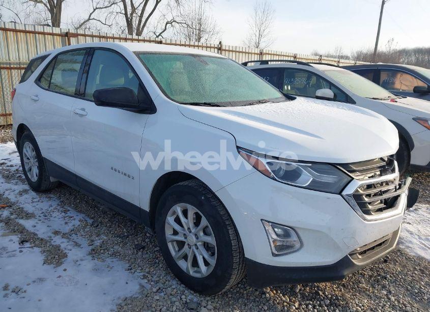 2019 Chevrolet Equinox LS (VIN 2GNAXHEV7K6176662) main photo