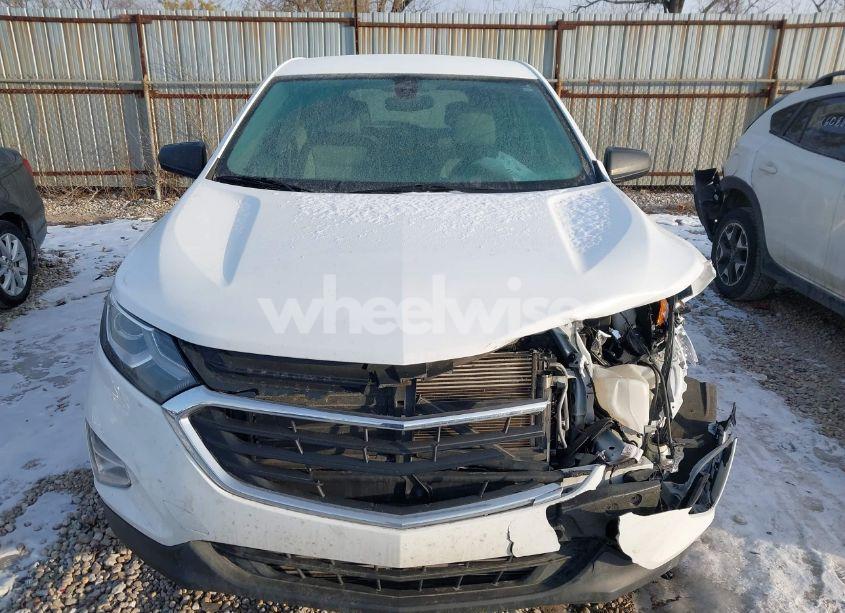 Photo 12 of 2019 Chevrolet Equinox LS (VIN 2GNAXHEV7K6176662)
