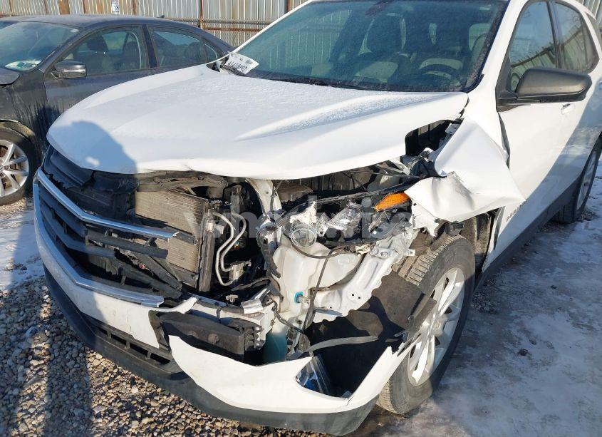 Photo 6 of 2019 Chevrolet Equinox LS (VIN 2GNAXHEV7K6176662)