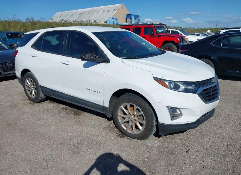 2018 Chevrolet Equinox LS (VIN 2GNAXHEV8J6174966) main photo
