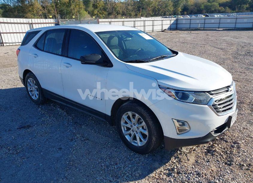 2019 Chevrolet Equinox LS (VIN 2GNAXHEV8K6104711) main photo