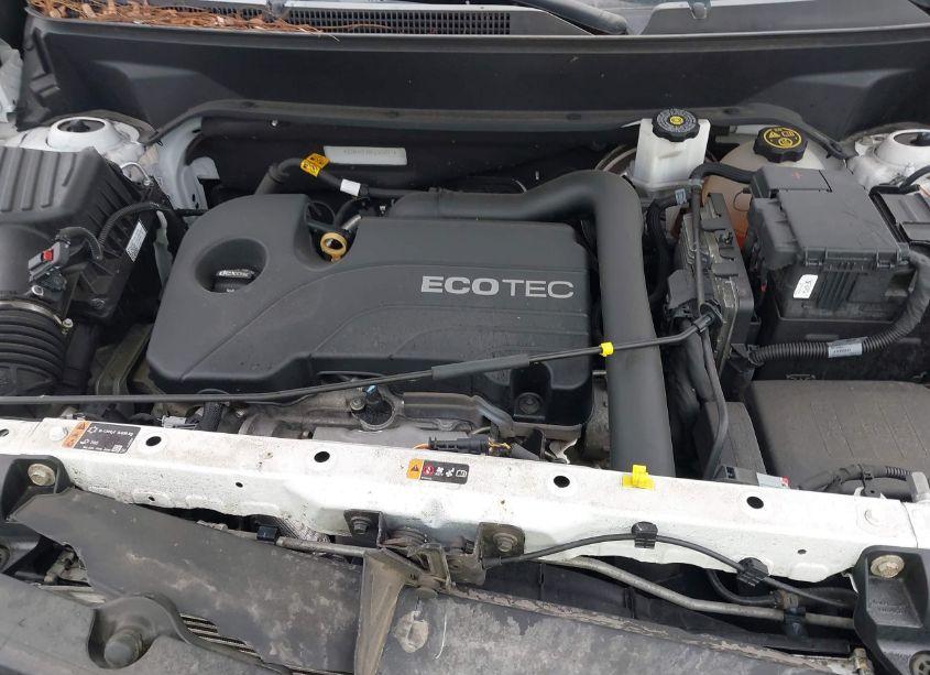 Photo 10 of 2019 Chevrolet Equinox LS (VIN 2GNAXHEV8K6305041)