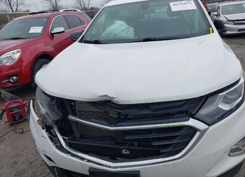 Photo 12 of 2019 Chevrolet Equinox LS (VIN 2GNAXHEV8K6305041)