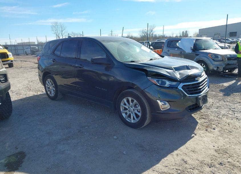 2018 Chevrolet Equinox LS (VIN 2GNAXHEV9J6352156) main photo