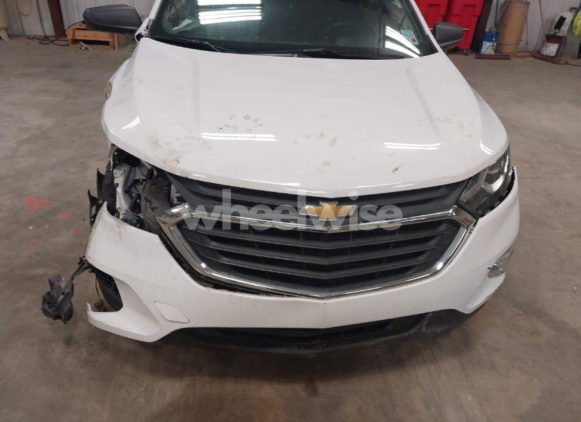 Photo 18 of 2019 Chevrolet Equinox LS (VIN 2GNAXHEV9K6196119)