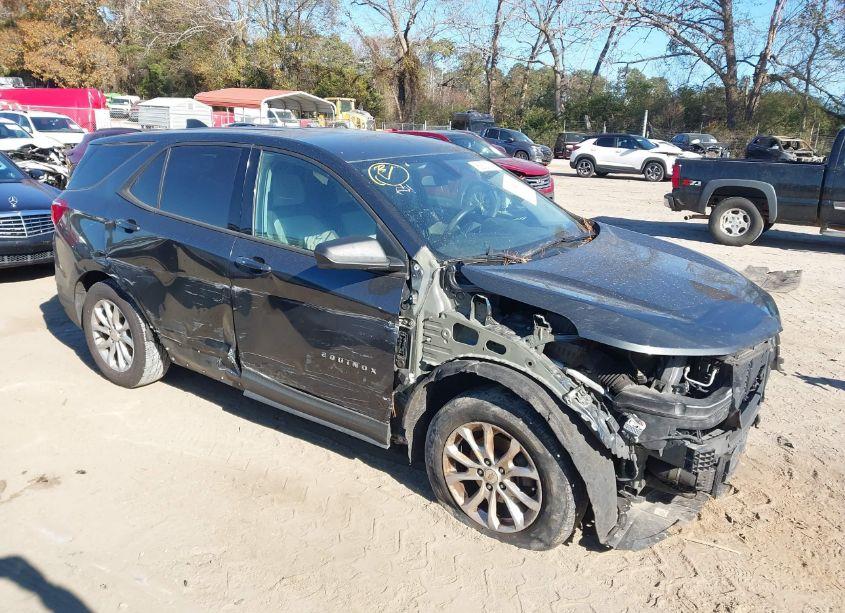 2019 Chevrolet Equinox LS (VIN 2GNAXHEV9K6196993) main photo