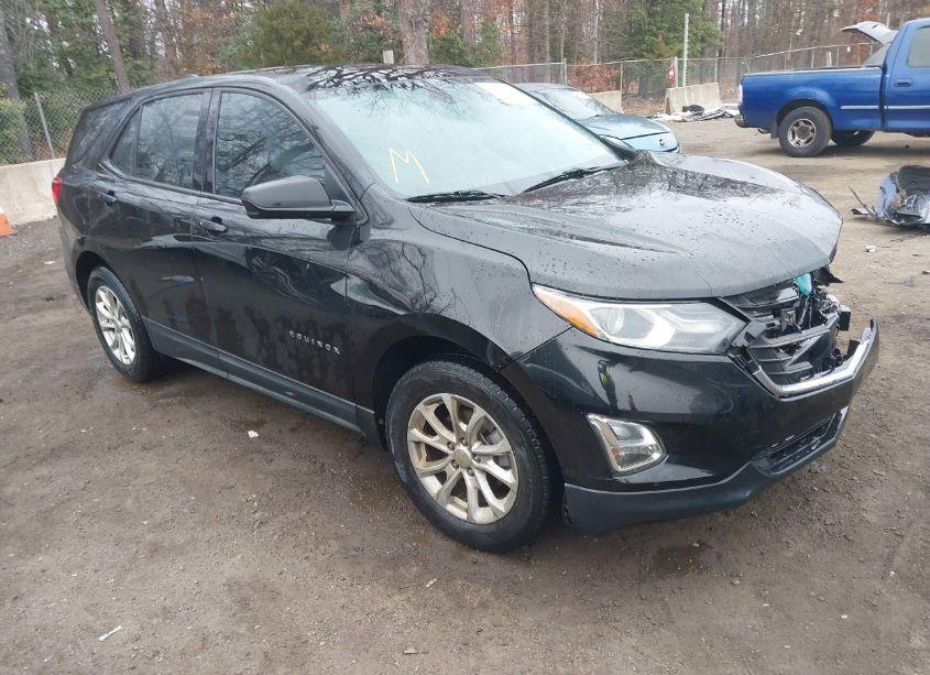 2019 Chevrolet Equinox LS (VIN 2GNAXHEV9K6261552) main photo