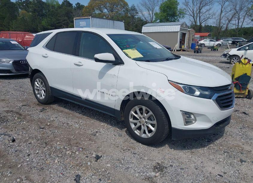 2019 Chevrolet Equinox LT (VIN 2GNAXJEV1K6244137) main photo