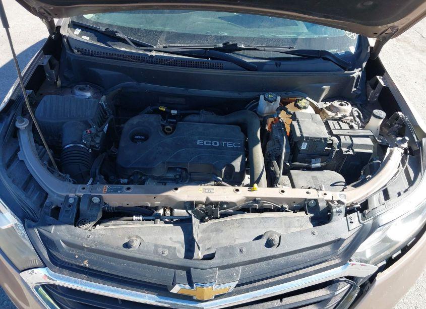 Photo 10 of 2019 Chevrolet Equinox LT (VIN 2GNAXJEV3K6263045)