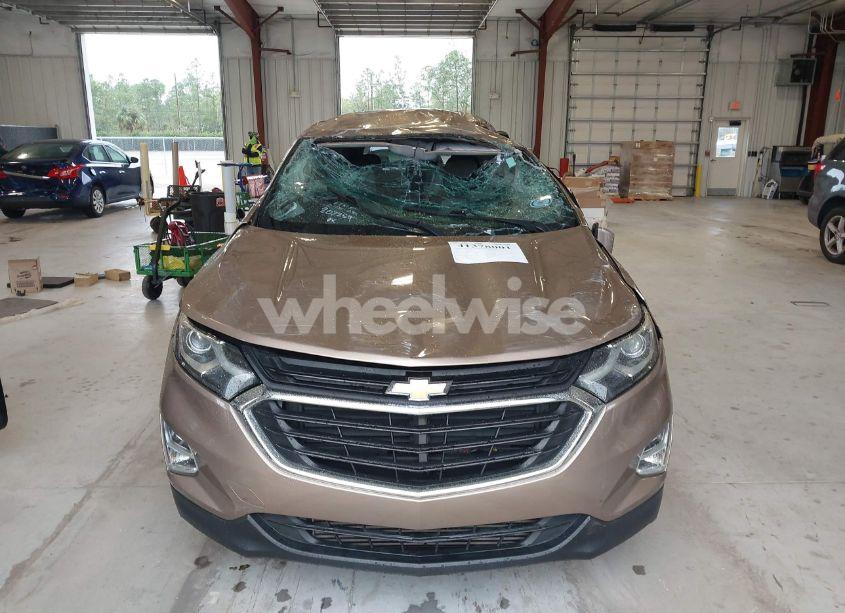 Photo 12 of 2018 Chevrolet Equinox LT (VIN 2GNAXJEVXJ6207229)