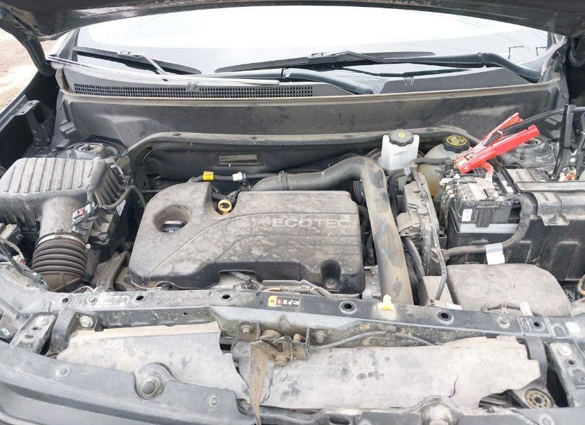 Photo 10 of 2019 Chevrolet Equinox LT (VIN 2GNAXKEV0K6120964)