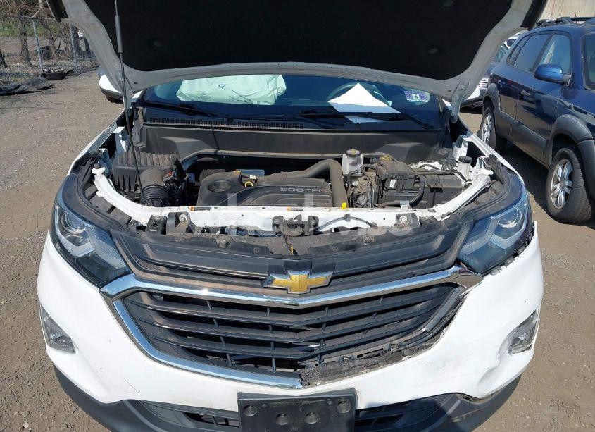 Photo 10 of 2019 Chevrolet Equinox LT (VIN 2GNAXKEV1K6222967)