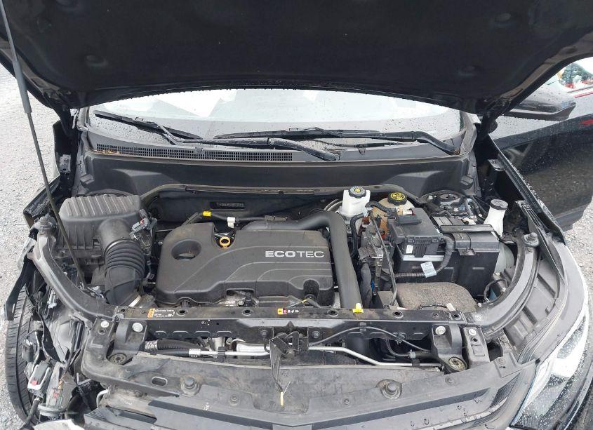 Photo 10 of 2021 Chevrolet Equinox FWD LT (VIN 2GNAXKEV1M6112584)