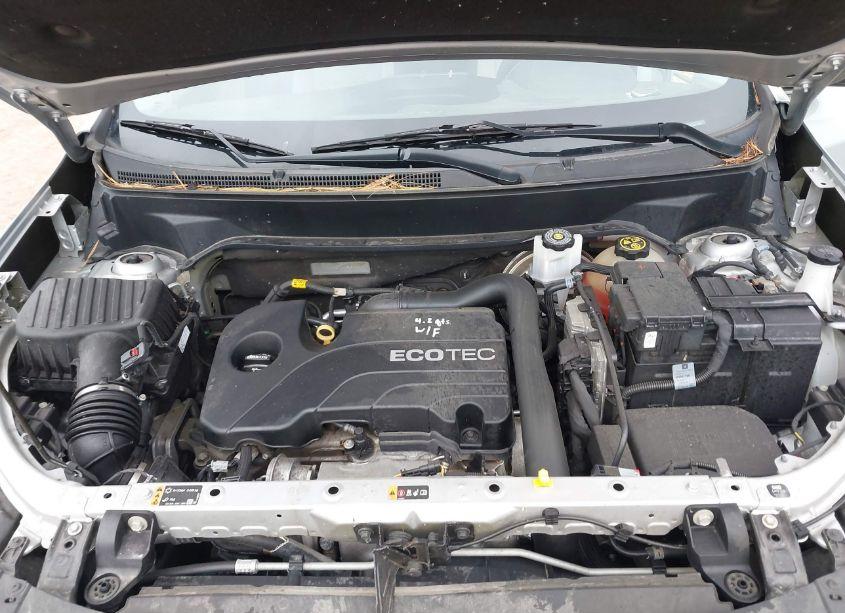 Photo 10 of 2019 Chevrolet Equinox LT (VIN 2GNAXKEV2K6282174)
