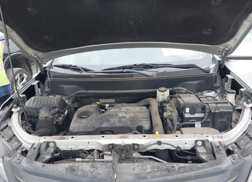 Photo 10 of 2019 Chevrolet Equinox LT (VIN 2GNAXKEV3K6109487)