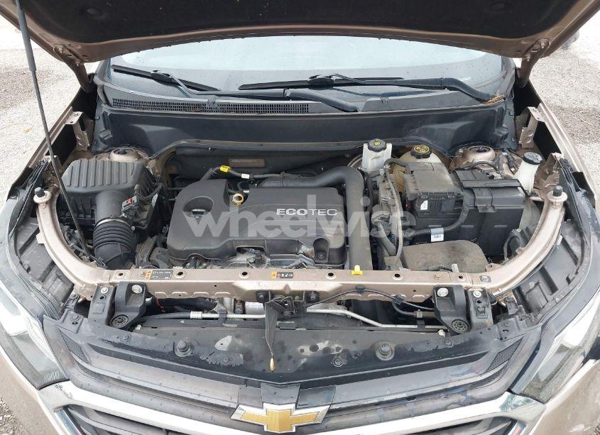 Photo 10 of 2019 Chevrolet Equinox LT (VIN 2GNAXKEV4K6160044)