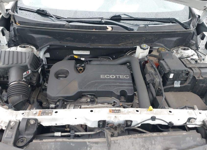Photo 10 of 2019 Chevrolet Equinox LT (VIN 2GNAXKEV4K6283150)