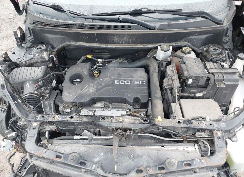 Photo 10 of 2019 Chevrolet Equinox LT (VIN 2GNAXKEV8K6108125)