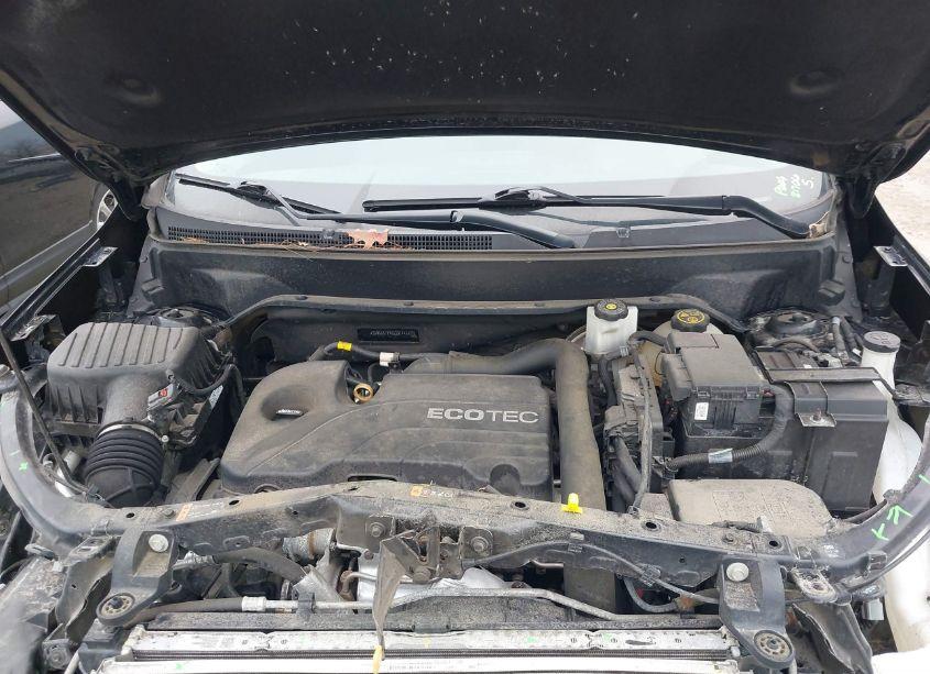 Photo 10 of 2019 Chevrolet Equinox LT (VIN 2GNAXKEV9K6301447)